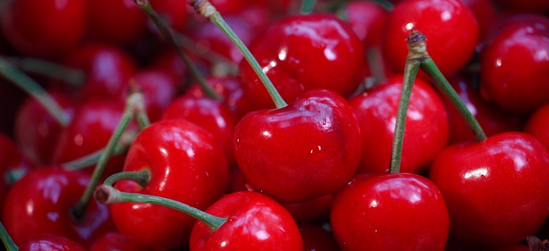 樱桃视频APP官网