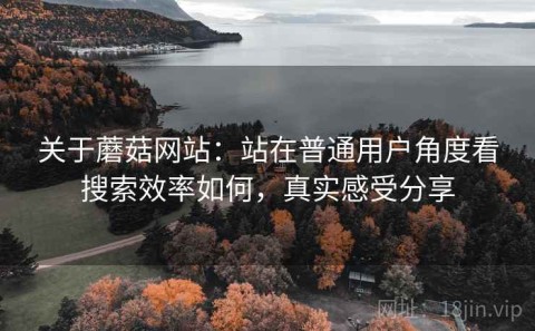 关于蘑菇网站：站在普通用户角度看搜索效率如何，真实感受分享