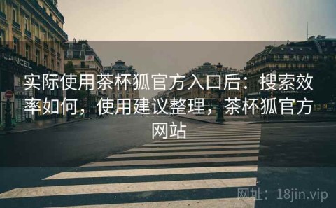 实际使用茶杯狐官方入口后：搜索效率如何，使用建议整理，茶杯狐官方网站