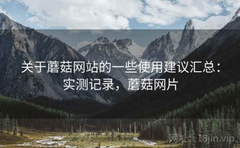 关于蘑菇网站的一些使用建议汇总：实测记录，蘑菇网片