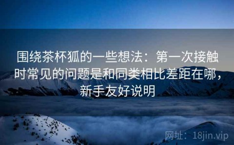 围绕茶杯狐的一些想法：第一次接触时常见的问题是和同类相比差距在哪，新手友好说明