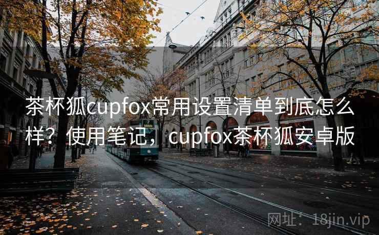 茶杯狐cupfox常用设置清单到底怎么样？使用笔记，cupfox茶杯狐安卓版