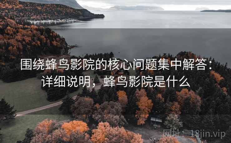 围绕蜂鸟影院的核心问题集中解答：详细说明，蜂鸟影院是什么