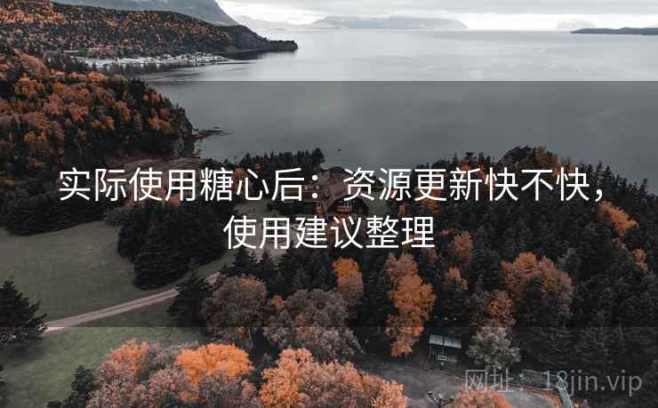 实际使用糖心后：资源更新快不快，使用建议整理