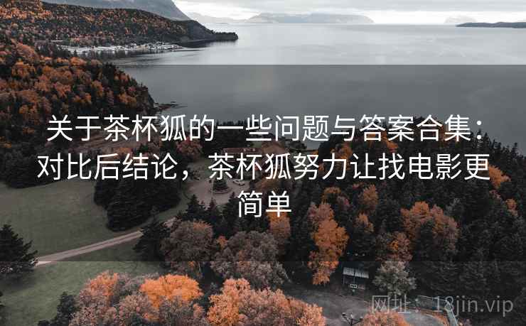 关于茶杯狐的一些问题与答案合集：对比后结论，茶杯狐努力让找电影更简单