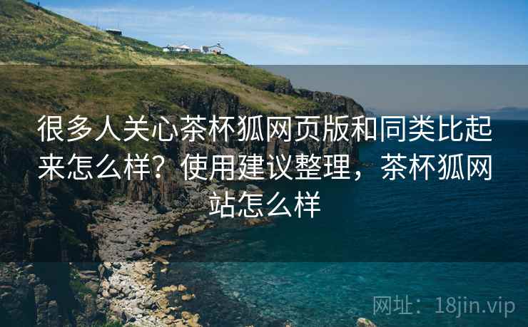 很多人关心茶杯狐网页版和同类比起来怎么样？使用建议整理，茶杯狐网站怎么样