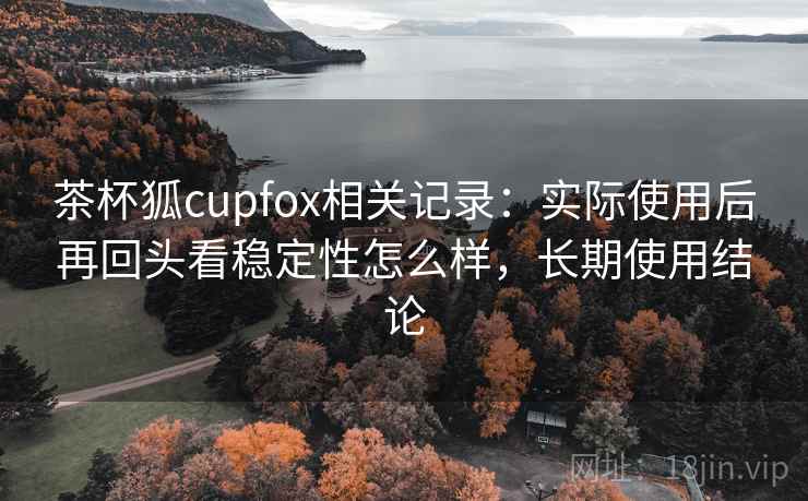 茶杯狐cupfox相关记录：实际使用后再回头看稳定性怎么样，长期使用结论