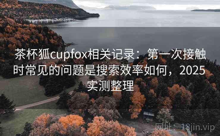 茶杯狐cupfox相关记录：第一次接触时常见的问题是搜索效率如何，2025 实测整理